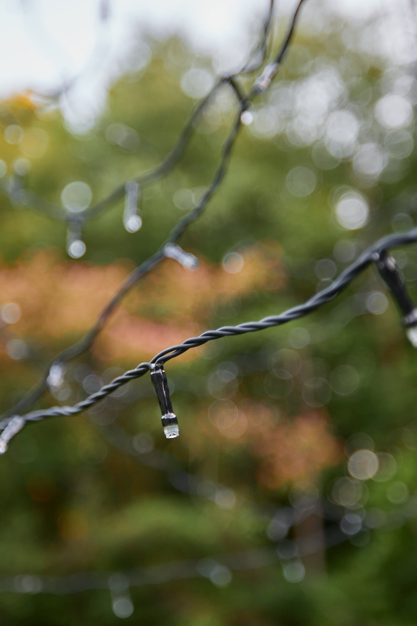 Fairybell | 8 meters | 1,500 LED lights | Twinkle