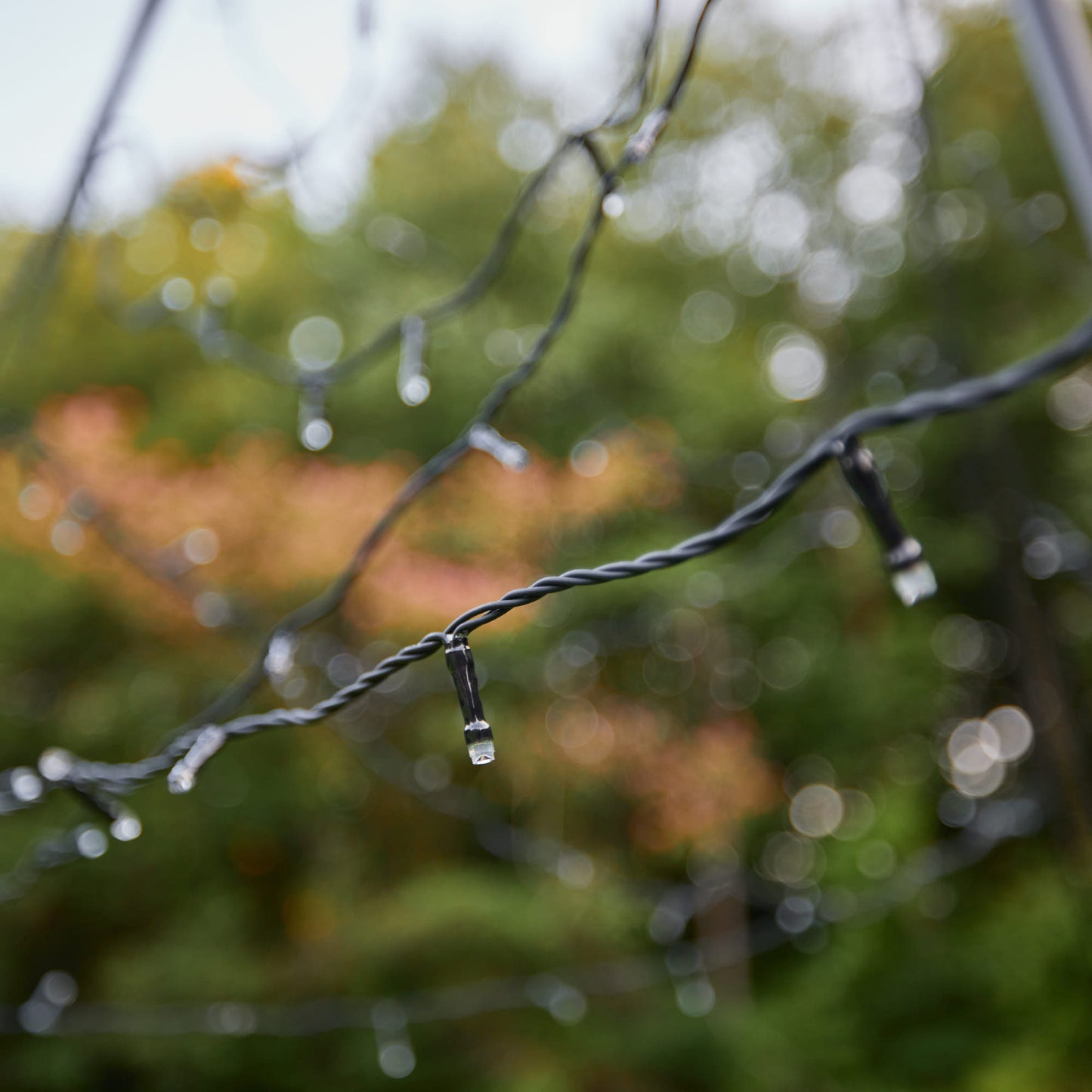 Fairybell | 8 meters | 1,000 LED lights | Warm white